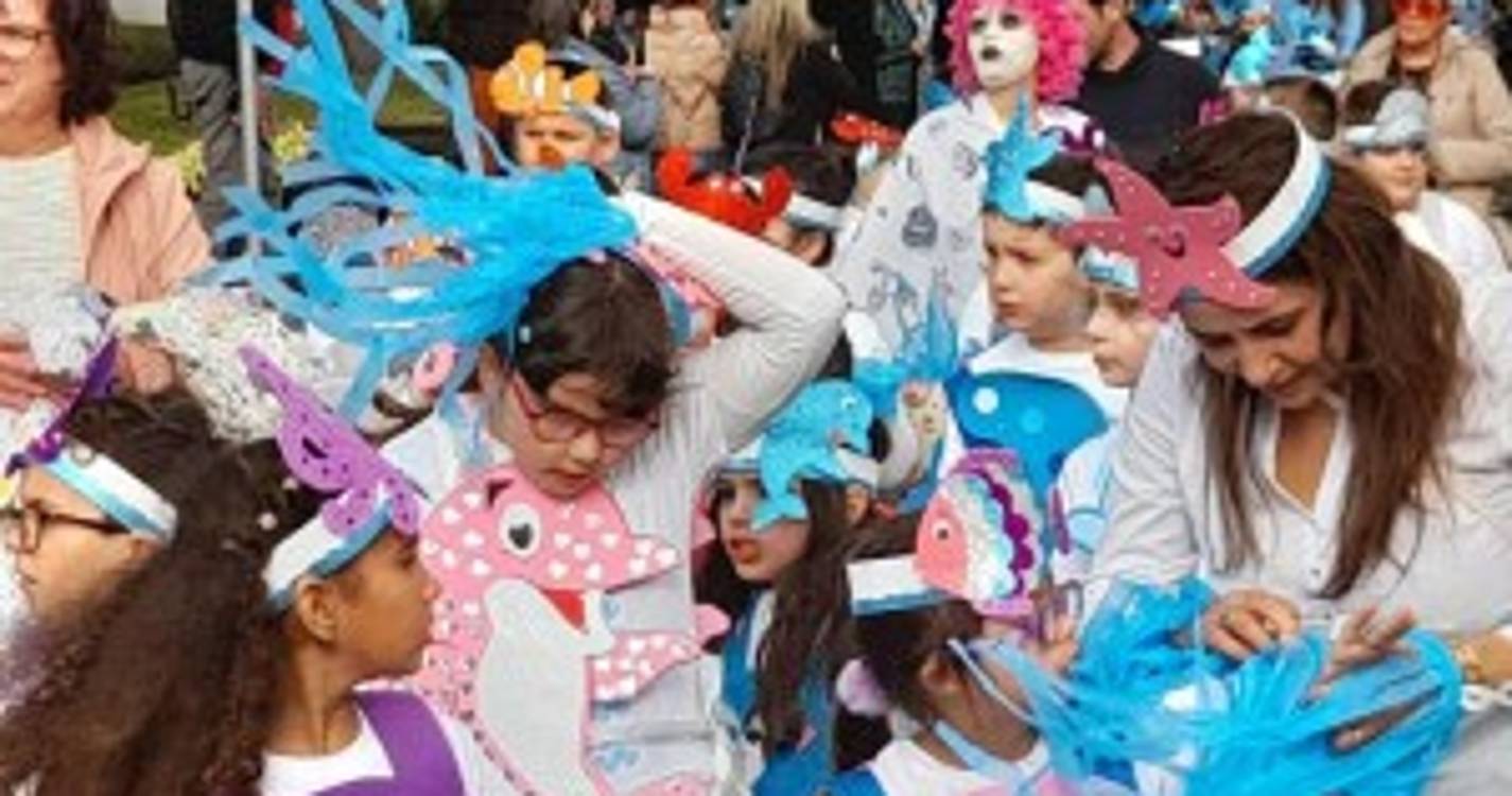 Veja Como Foi O Desfile De Carnaval Das Escolas Em Santa Cruz Fotos