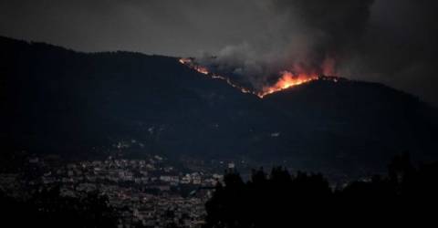 Inc Ndio Provocou Danos Enormes Na Biodiversidade Da Serra Da Estrela