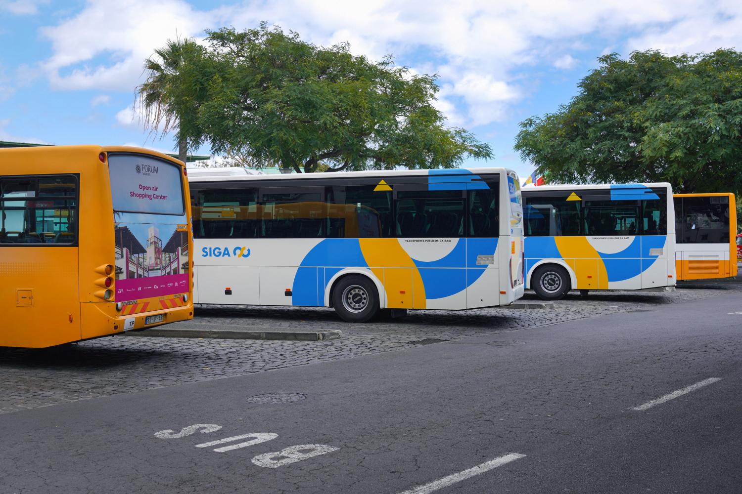 Veja o ‘Antes e Depois’ dos autocarros da Madeira (com fotos)