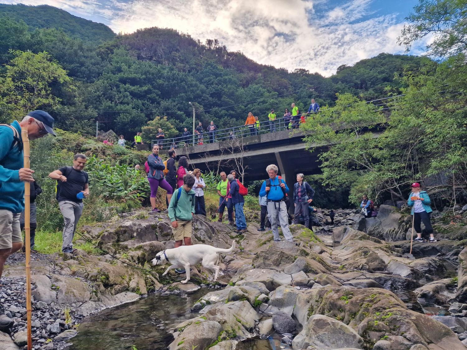 Caminho Real cumpre tradição do Pão-por-Deus no Seixal (com fotos)