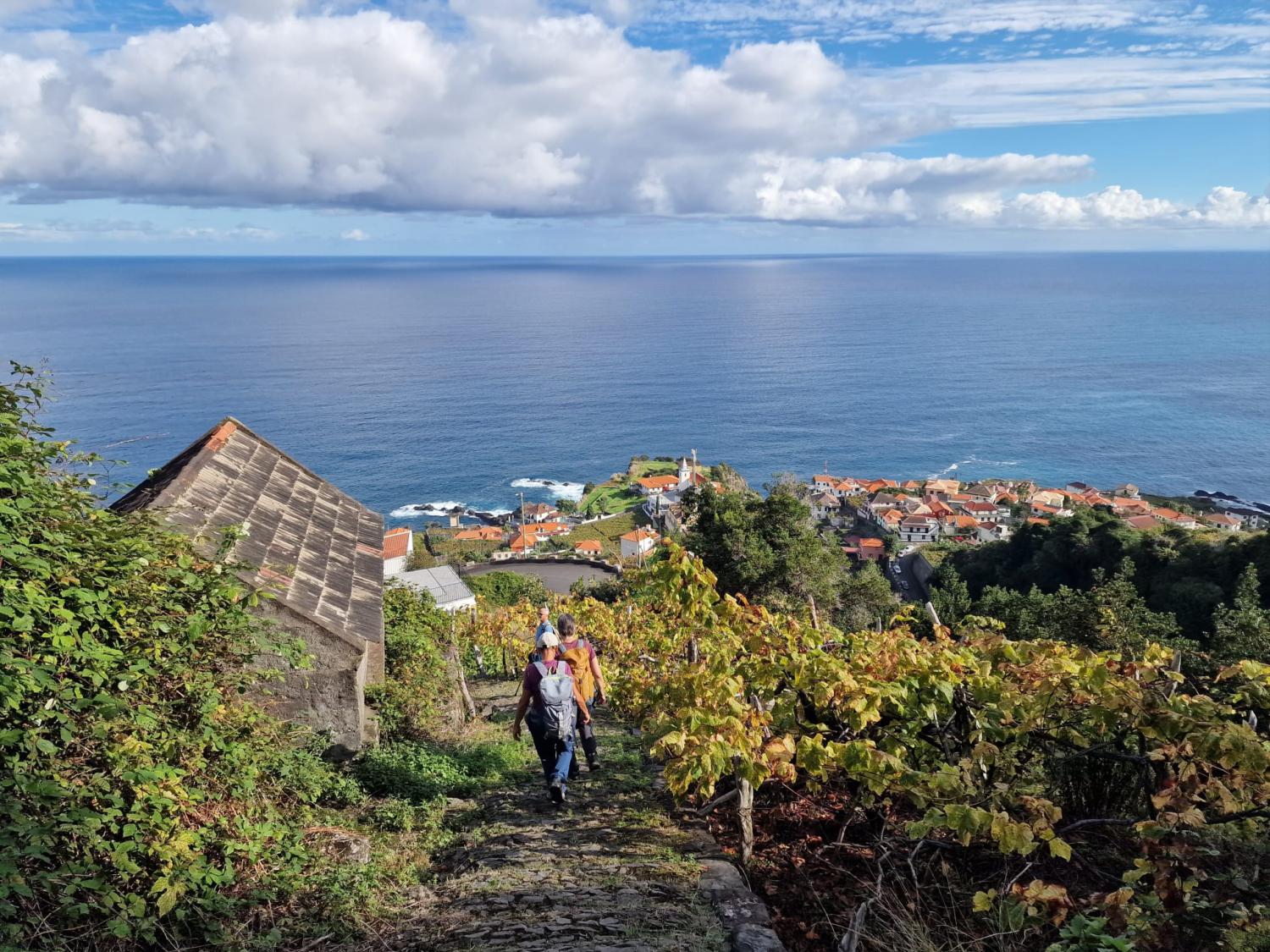 Caminho Real cumpre tradição do Pão-por-Deus no Seixal (com fotos)