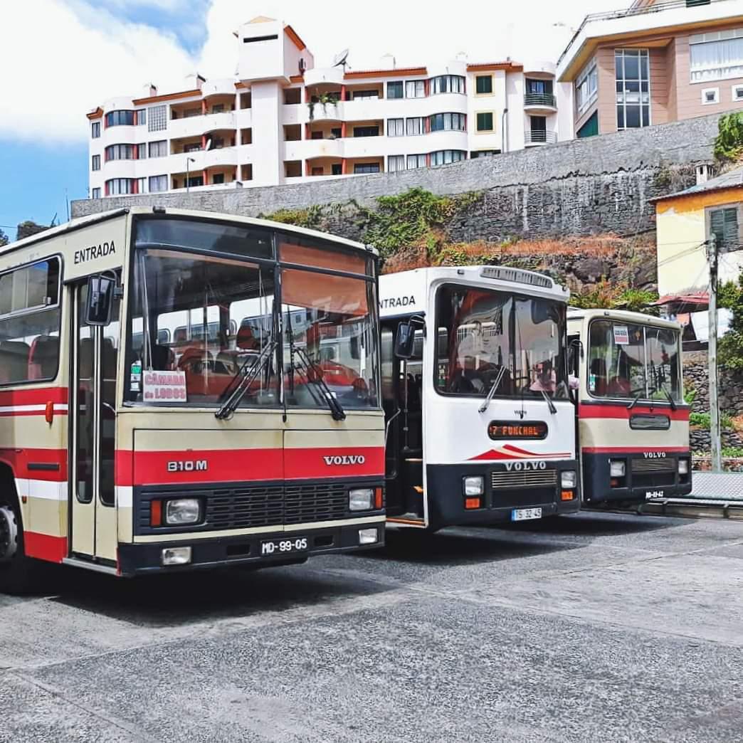 Veja o ‘Antes e Depois’ dos autocarros da Madeira (com fotos)