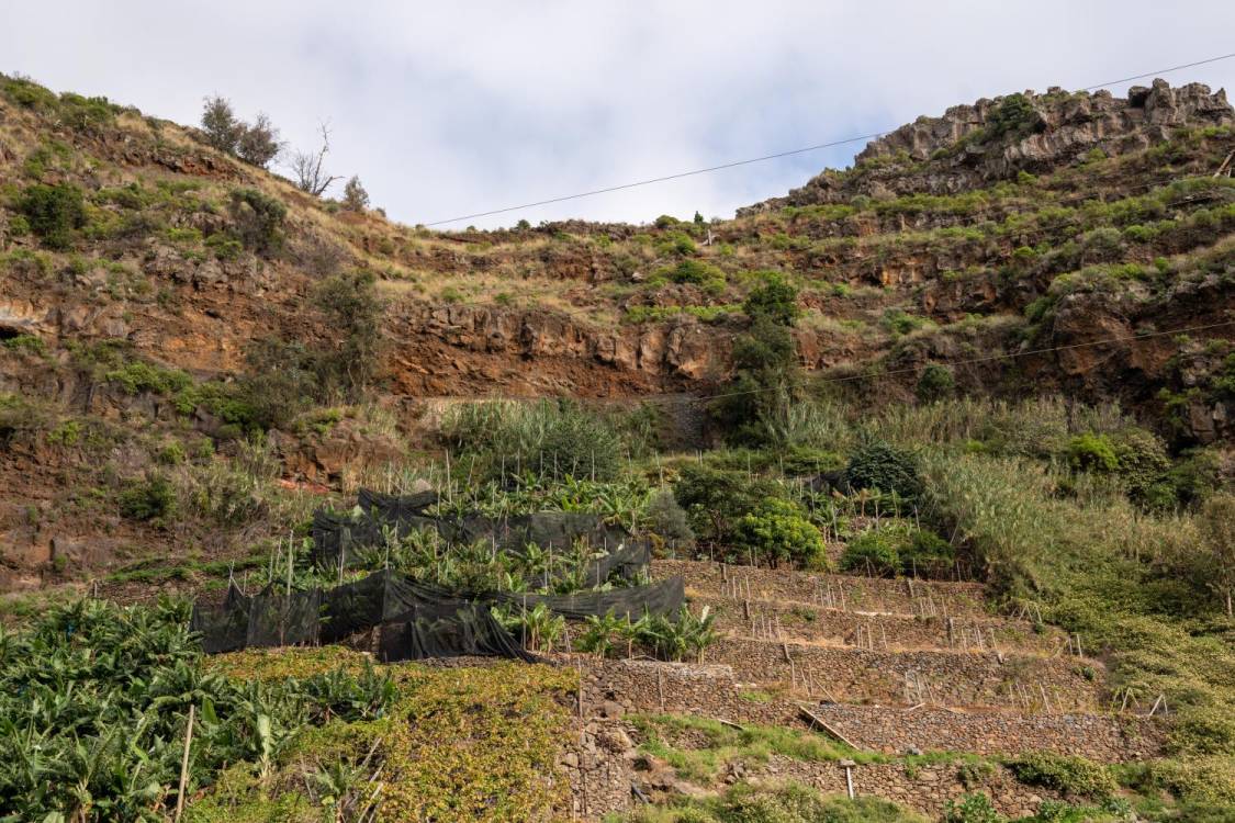 O campo entre duas cidades