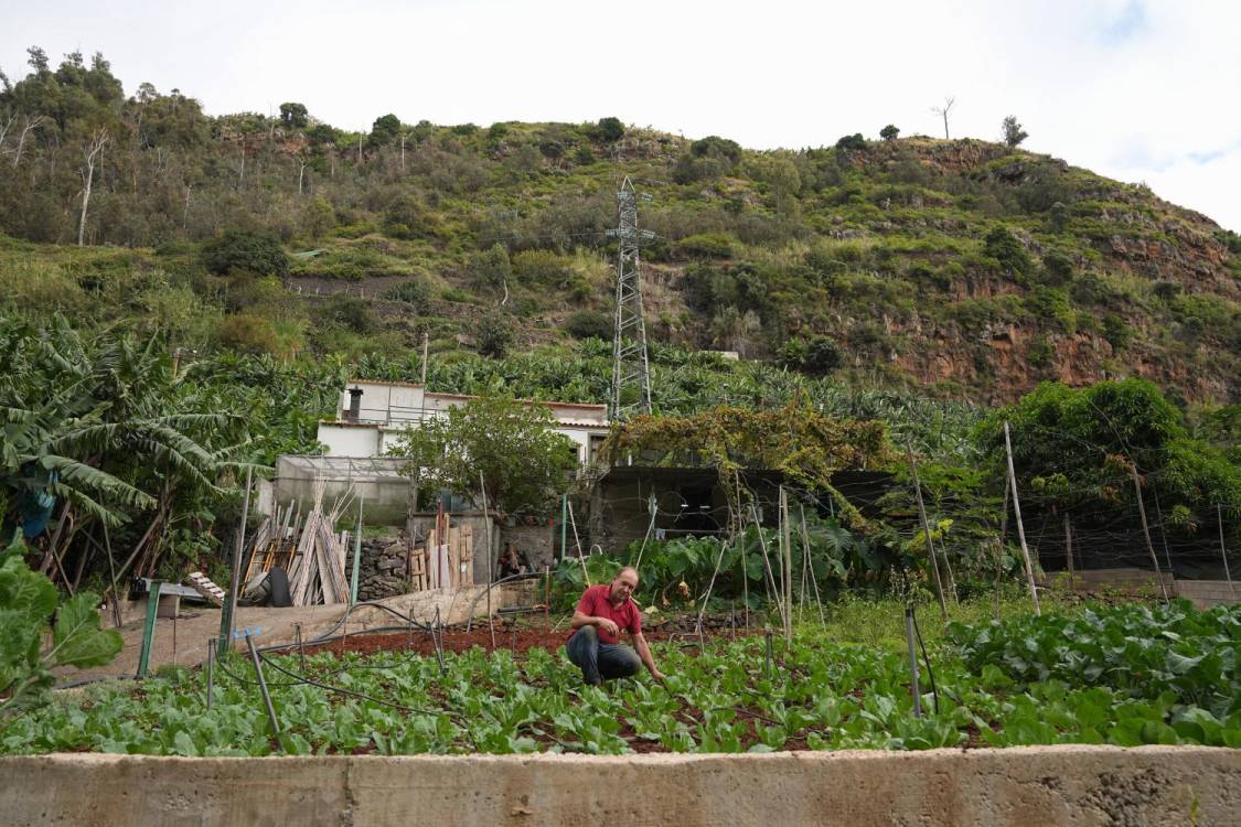 O campo entre duas cidades