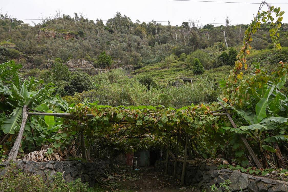 O campo entre duas cidades