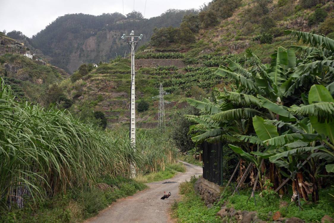 O campo entre duas cidades