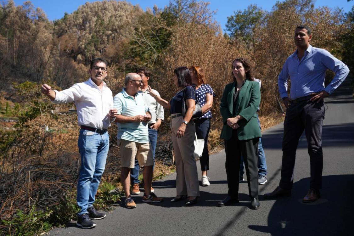 Incêndios: PS/Madeira defende urgência no plano de reflorestação para Câmara de Lobos