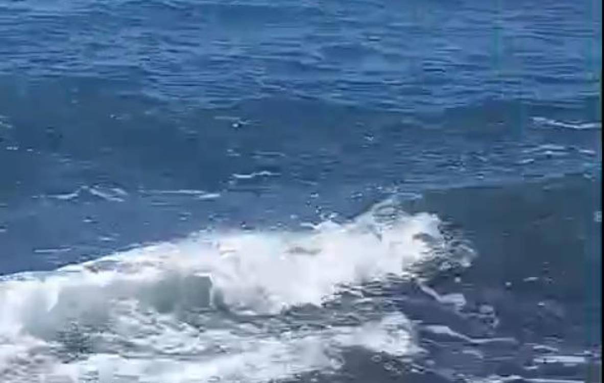 Mancha de óleo na Praia Formosa afasta banhistas