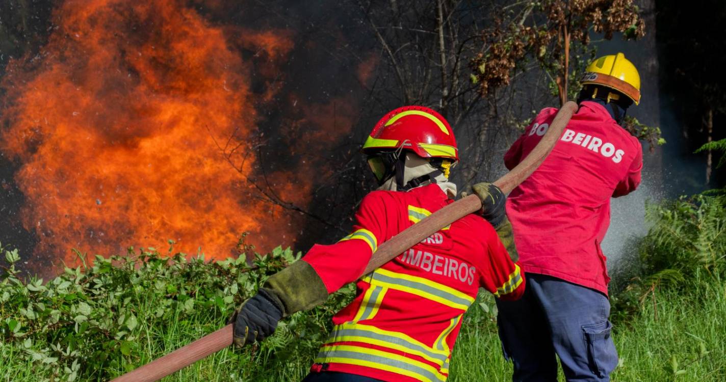 Incêndios: Bombeiro que combatia chamas em Oliveira de Azeméis morre de doença súbita