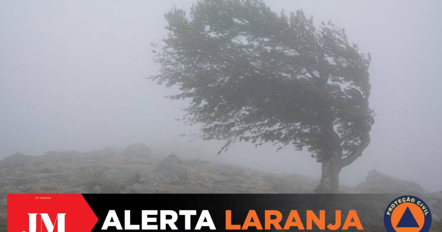 Madeira sob aviso laranja para chuva, vento e agitação marítima fortes