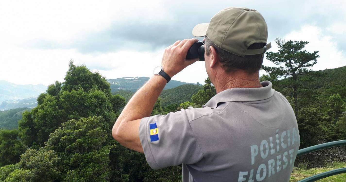 Polícia Florestal identifica autor de despejo ilegal de resíduos de construção e demolição no Porto Moniz
