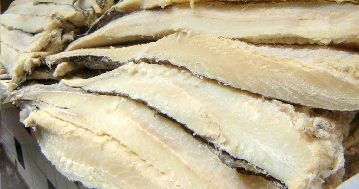 Canadá retira proibição da pesca do bacalhau na Terra Nova após mais de 30 anos