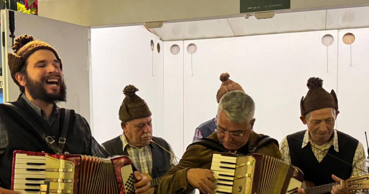 Já arrancaram as Festas de Santo Amaro em Santa Cruz (com fotos)