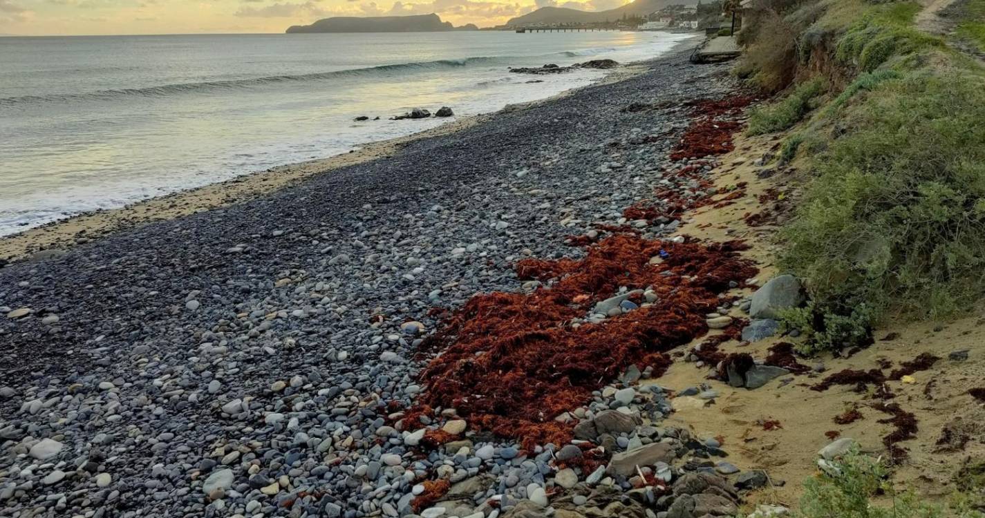 Porto Santo: Depressão ‘Irene’ fez desaparecer extensa faixa do areal (com fotos)