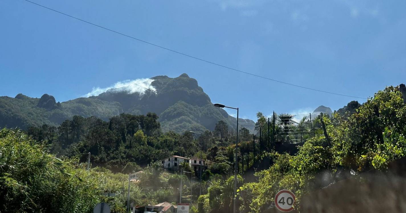 Laurissilva em perigo: Vários focos de incêndio geram apreensão em São Vicente