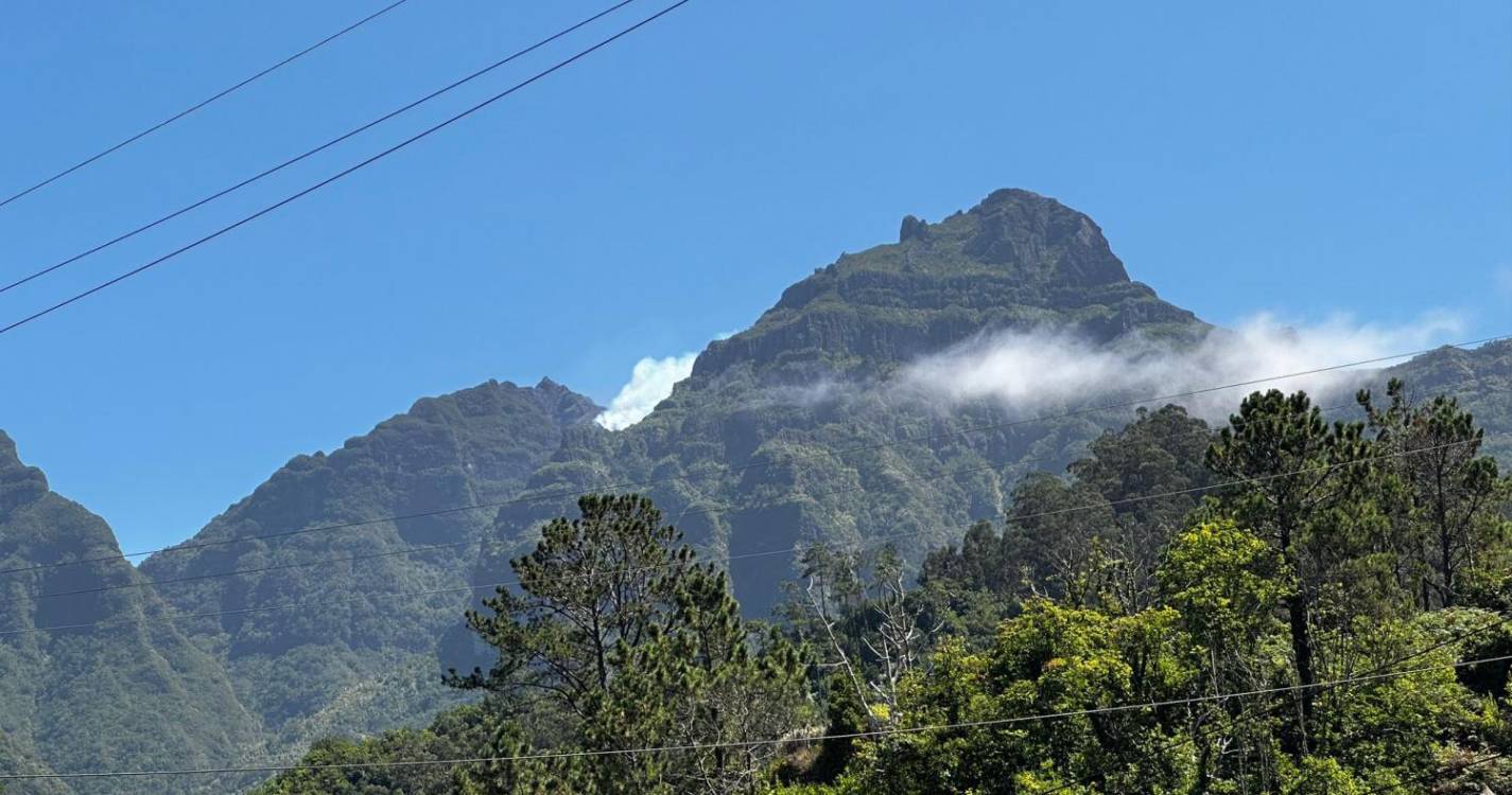 Laurissilva em perigo: Vários focos de incêndio geram apreensão em São Vicente