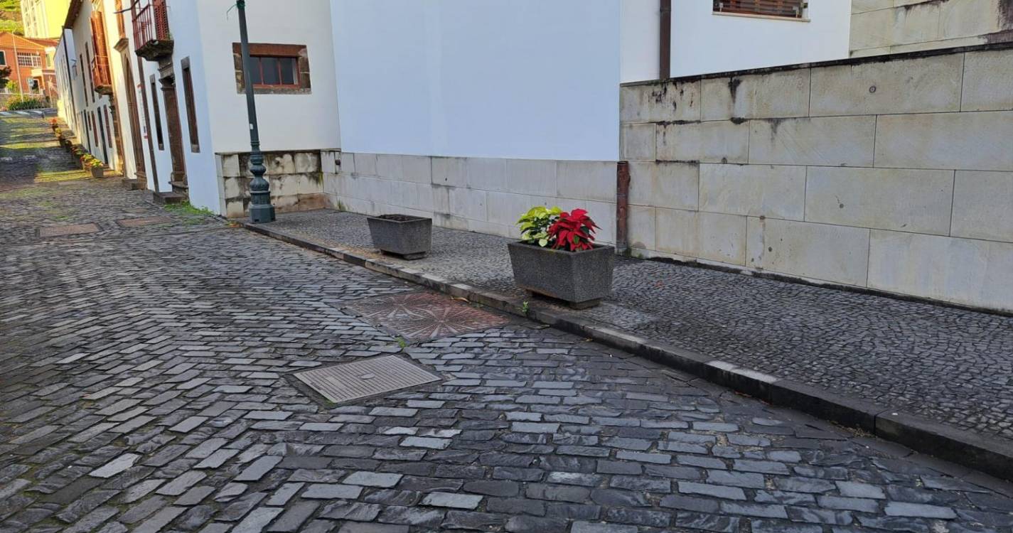 Manhãs de Páscoa plantadas em Santa Cruz desaparecem pela calada da noite