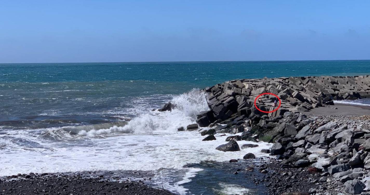 Turistas desafiam ondulação na Ribeira Brava