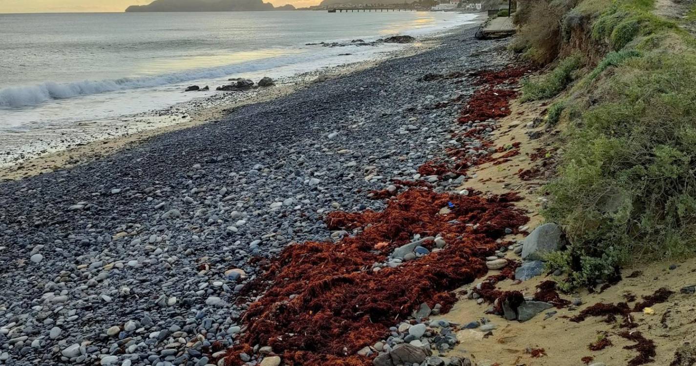 Porto Santo: Depressão ‘Irene’ fez desaparecer extensa faixa do areal (com fotos)