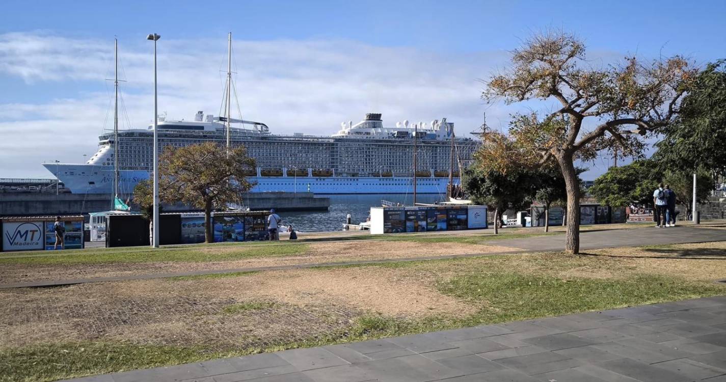 Raimundo Quintal mostra estado dos jardins da Praça do Povo: “Dói-me a alma!”