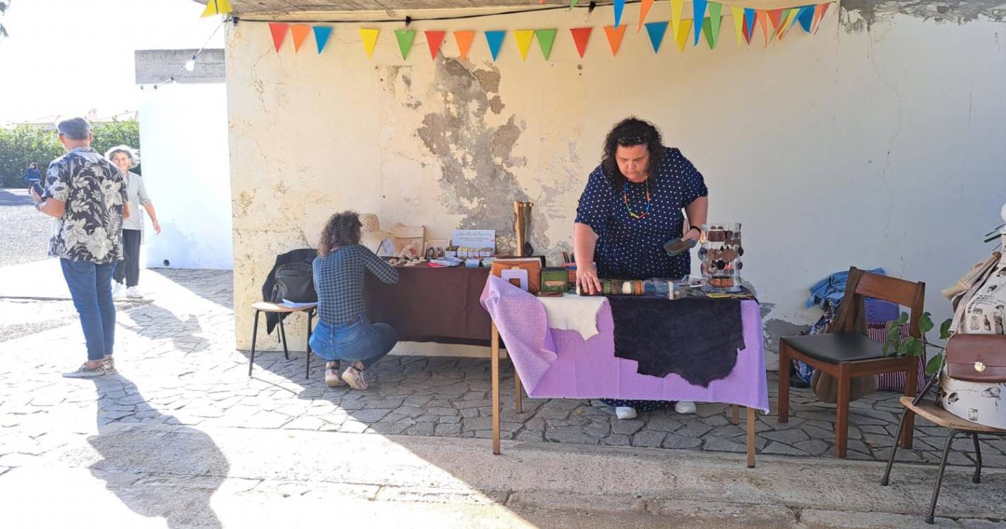 Sol brilha na Festa da Escola da Vila no Porto Santo (com fotos)