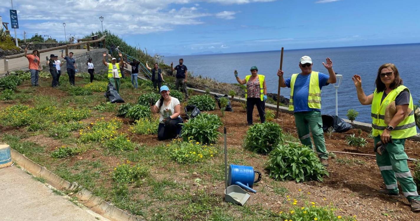 Mais de 50 voluntários já ajudaram a dar nova vida ao Jardim da Ponta da Oliveira