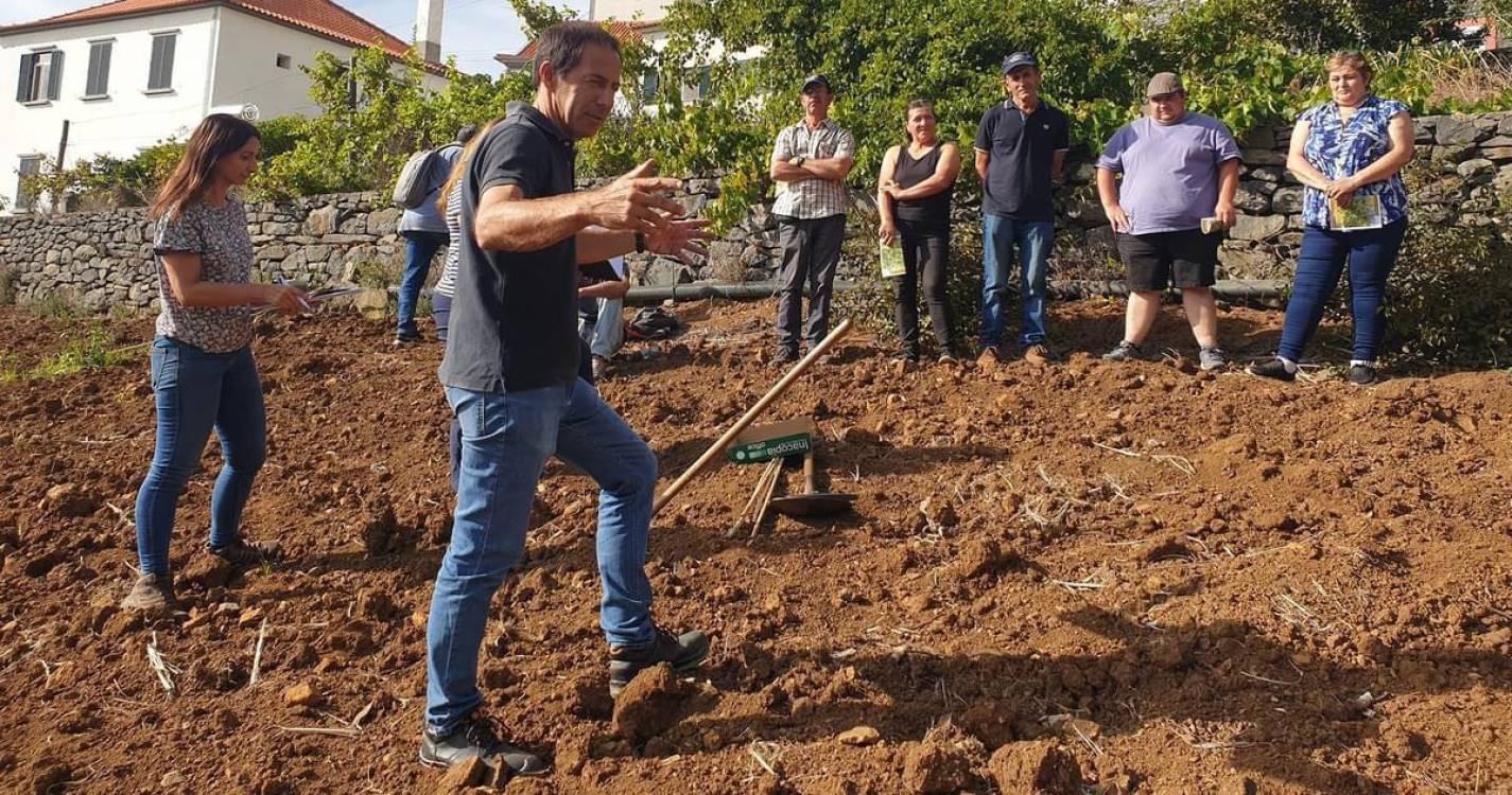 Produtores recebem formação para plantação de pereiros