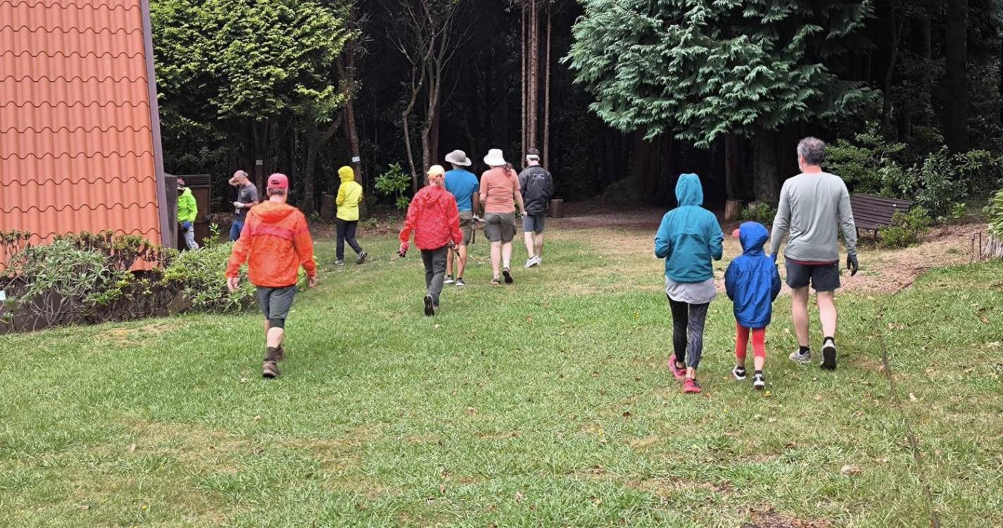 40 voluntários realizam atividade de erradicação de plantas invasoras no Santo da Serra