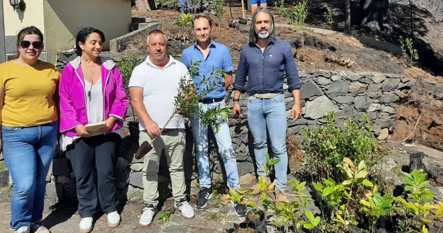 Miradouro e zona do Posto Florestal na Boca da Corrida já começaram a ser recuperados