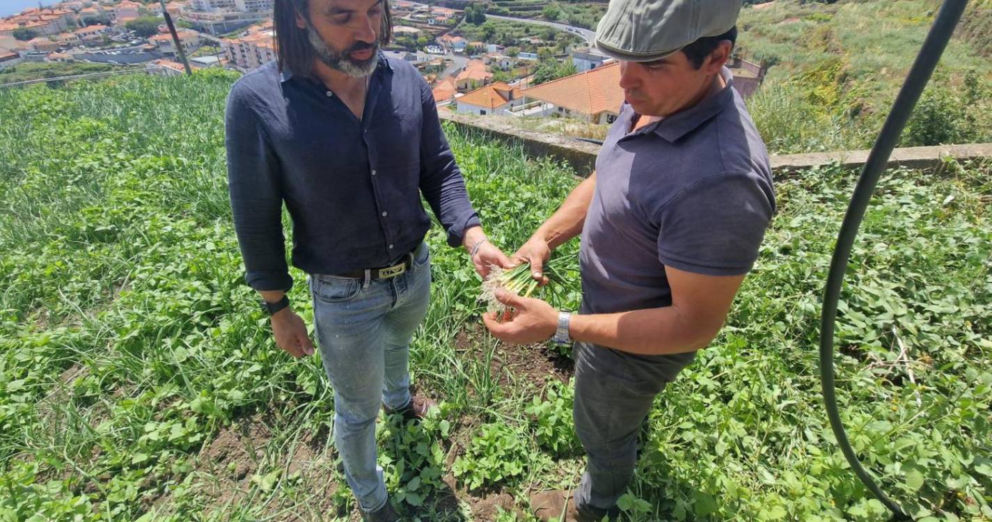 Direção Regional de Agricultura atenta às alterações climáticas