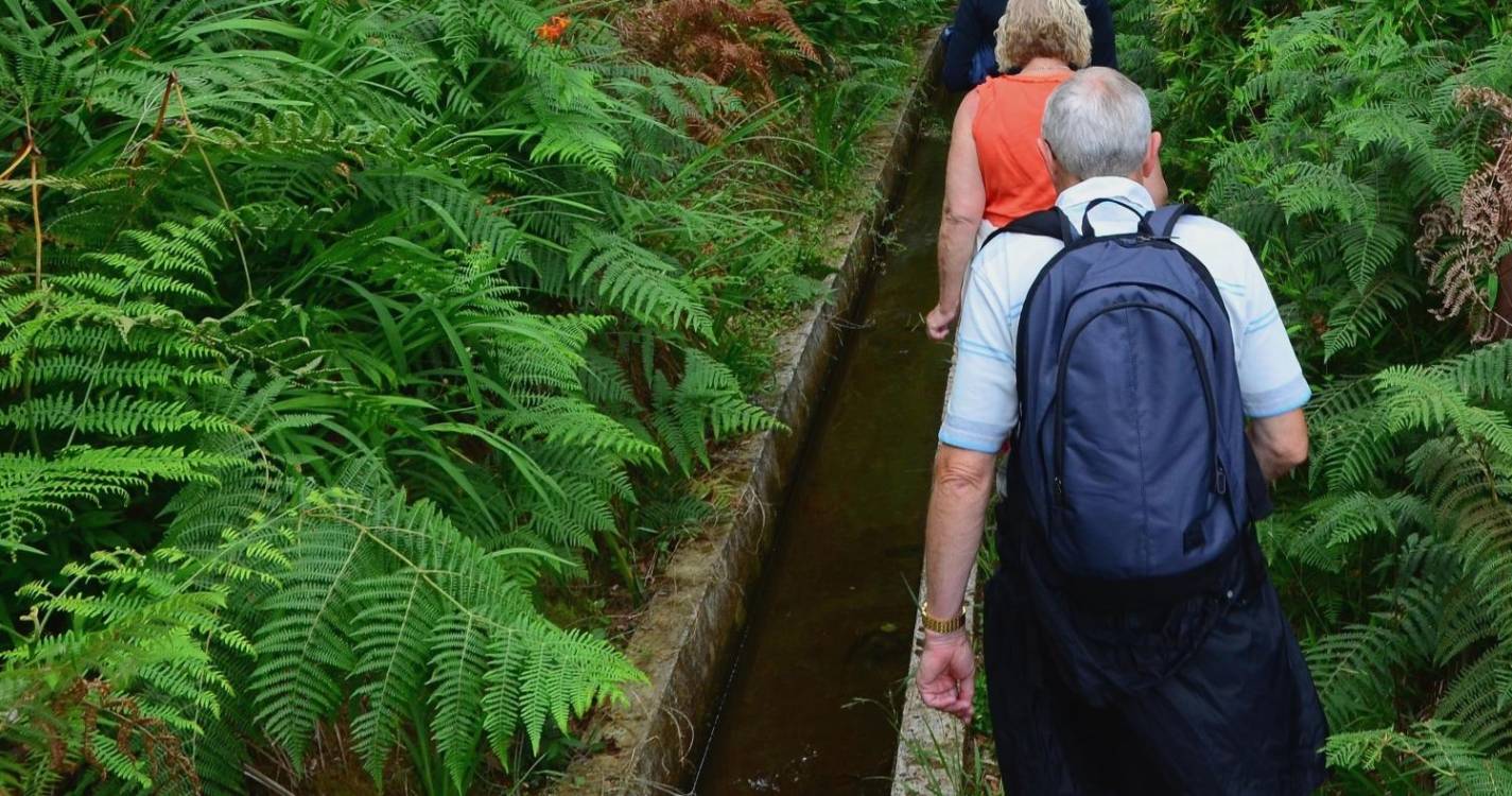 Casal de turistas perdidos no Paul da Serra estão a caminho “de casa”