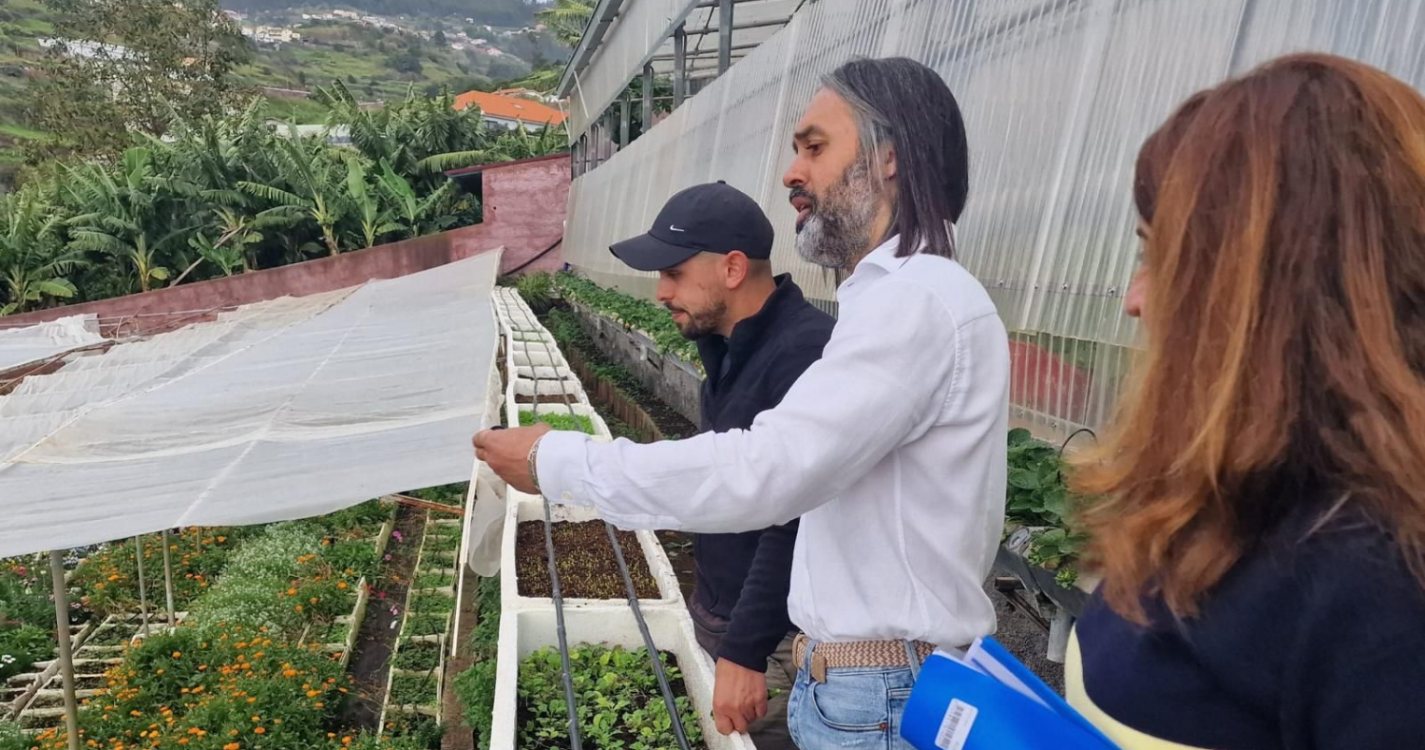 Diretor de Agricultura visita exploração apoiada na Ponta do Sol