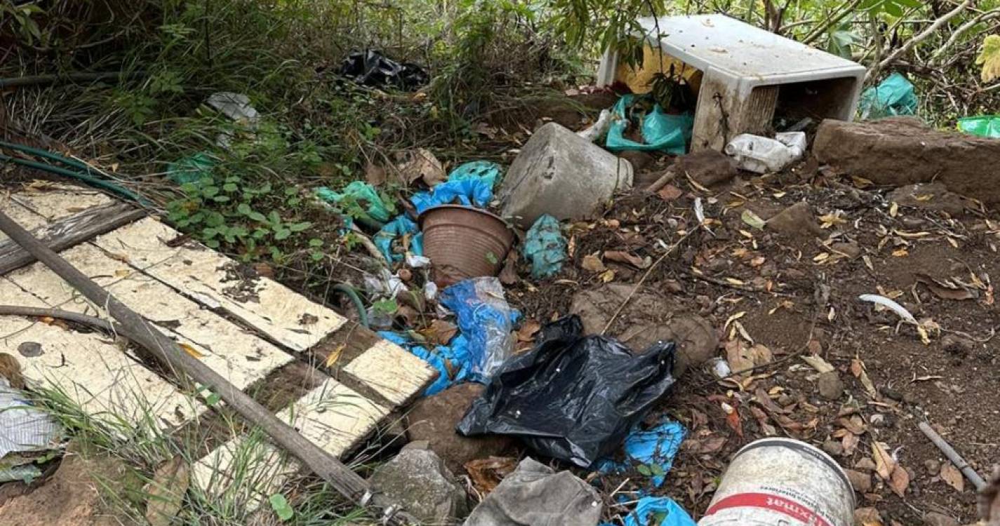 Associação resgata cão acorrentado, “magro, debilitado, sujo e cheio de pulgas” (com fotos)