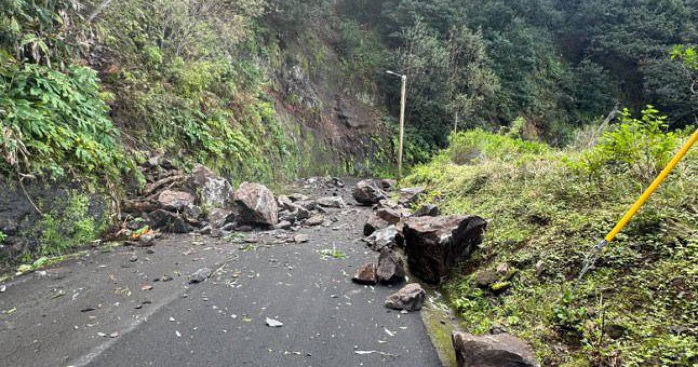 Derrocada de grandes dimensões na Ponta Delgada