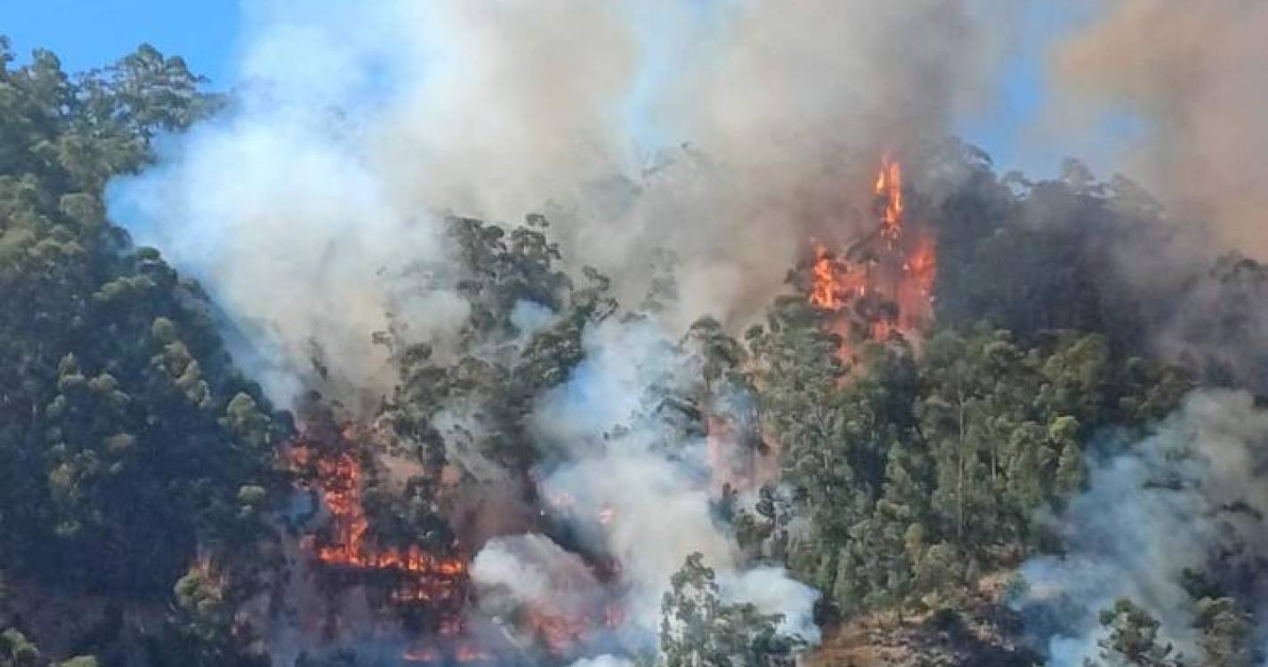 Meio aéreo já combate incêndio na Furna