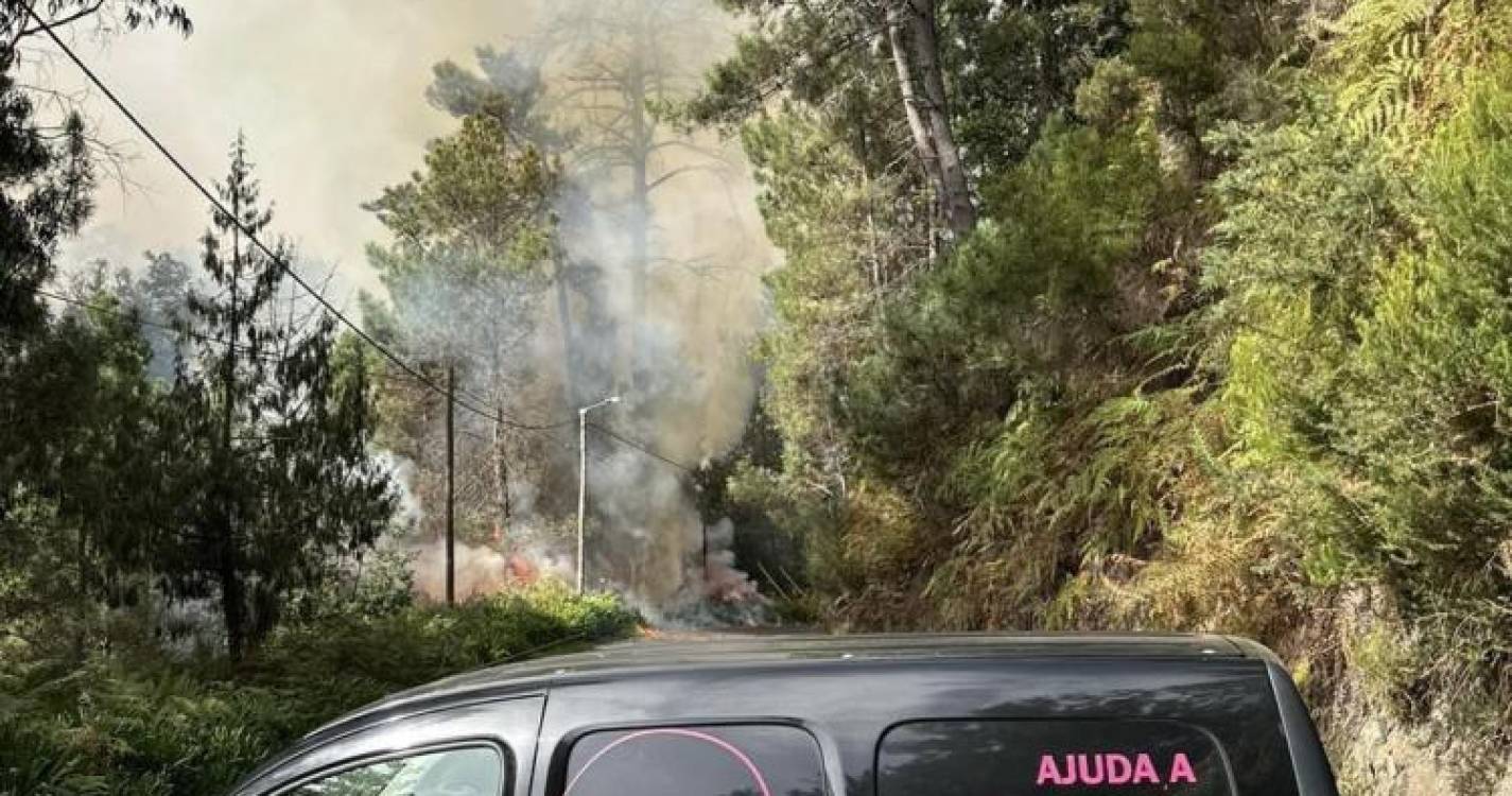 Incêndios: Associação Ajuda a Alimentar Cães disponibiliza ajuda para transportar animais