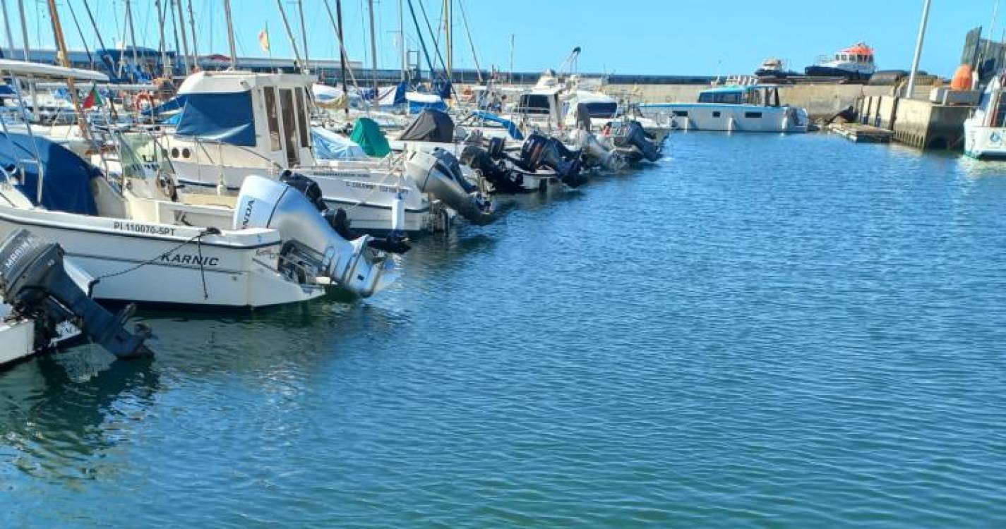 Lobo Marinho a ‘descansar’ na Marina do Funchal deu nas vistas esta manhã (com fotos)