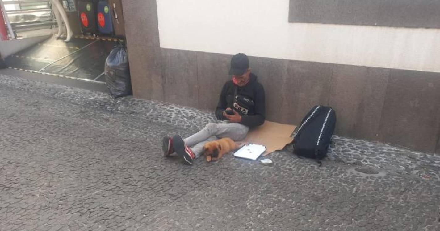 Sem-abrigo tenta vender cão bebé no Funchal por 50 euros