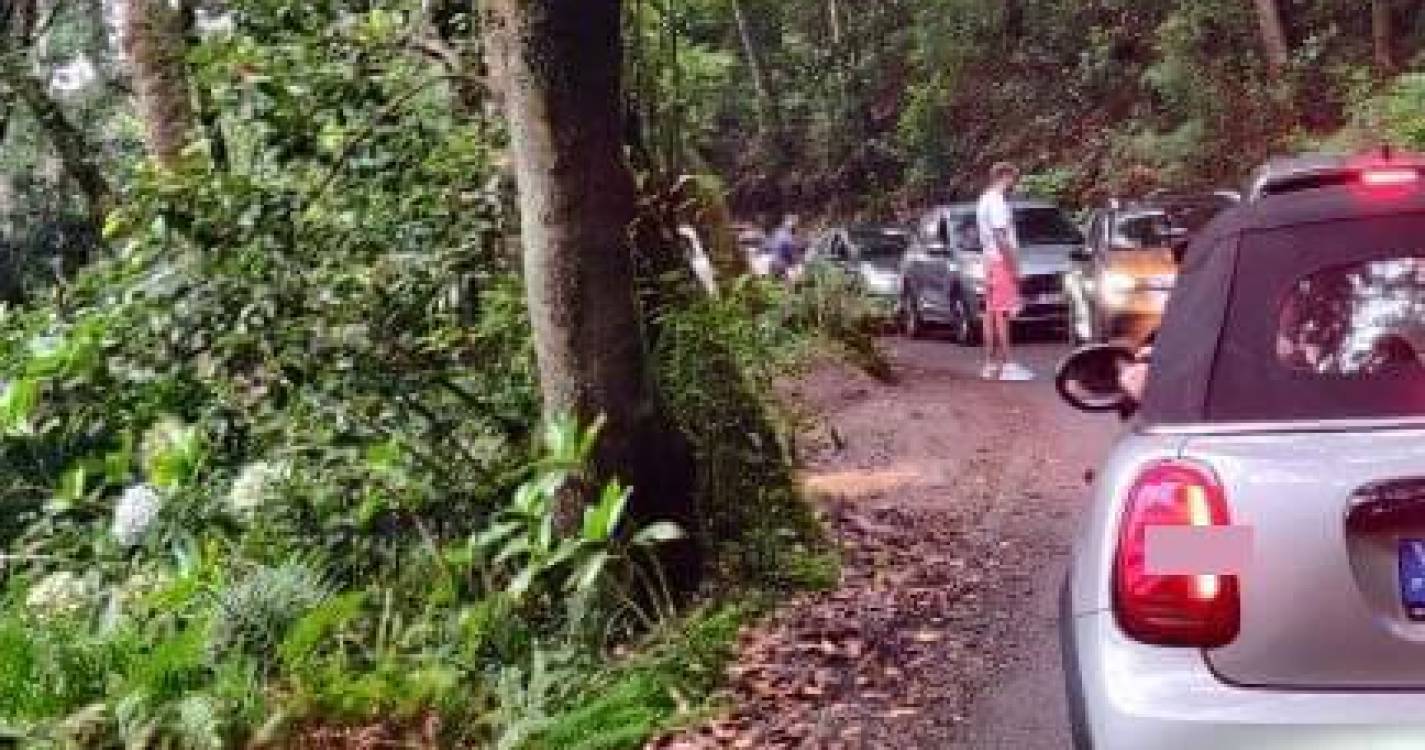 Trânsito caótico no acesso ao Parque Florestal das Queimadas