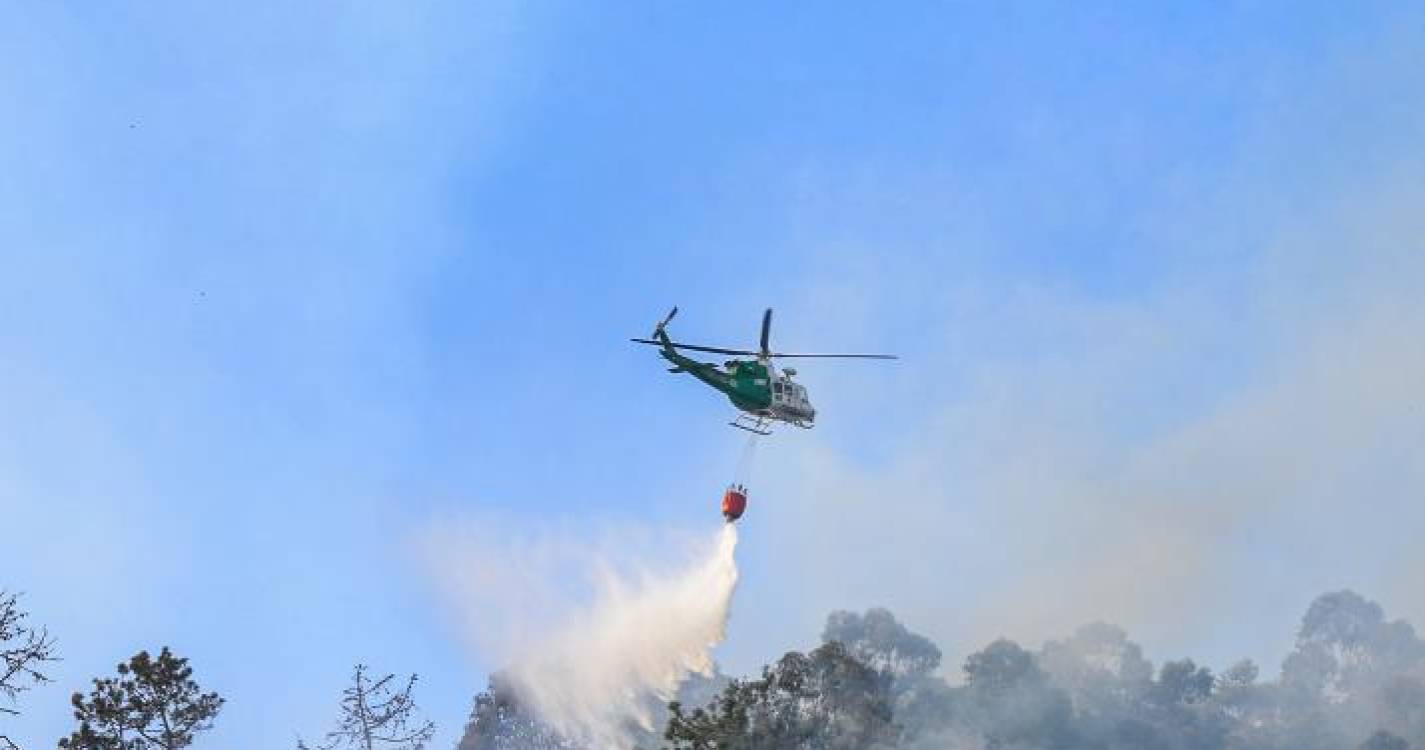 Proteção Civil confirma avanço do fogo e meio aéreo no terreno