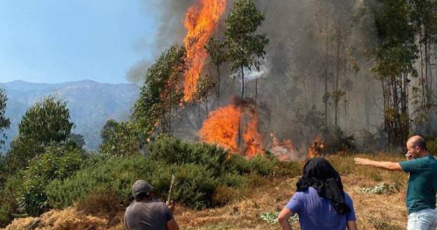 Chamas lavraram perto de casas no Jardim da Serra (com vídeo)