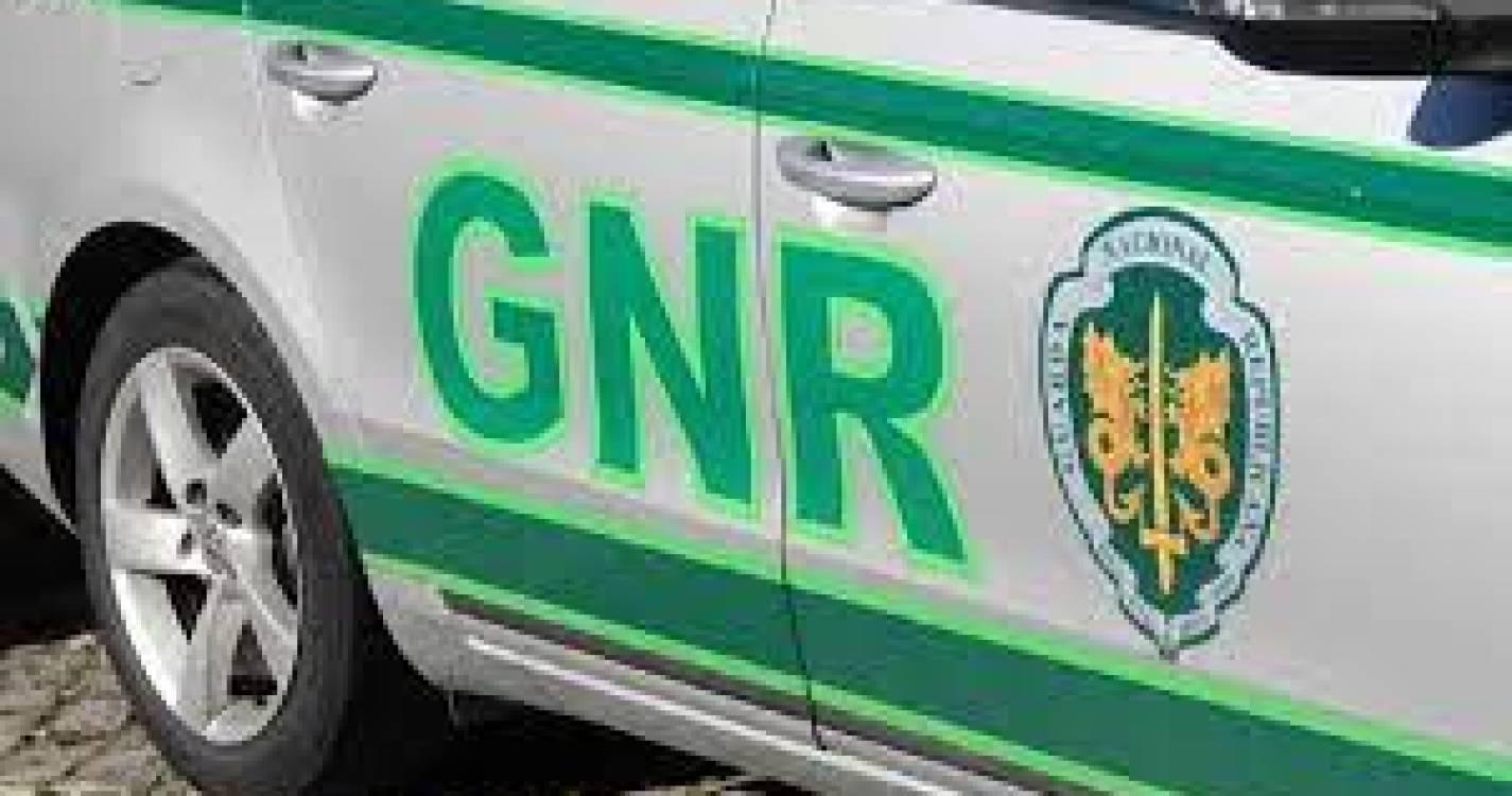 GNR detém 18 suspeitos de tráfico de droga em Portalegre, Évora e Setúbal