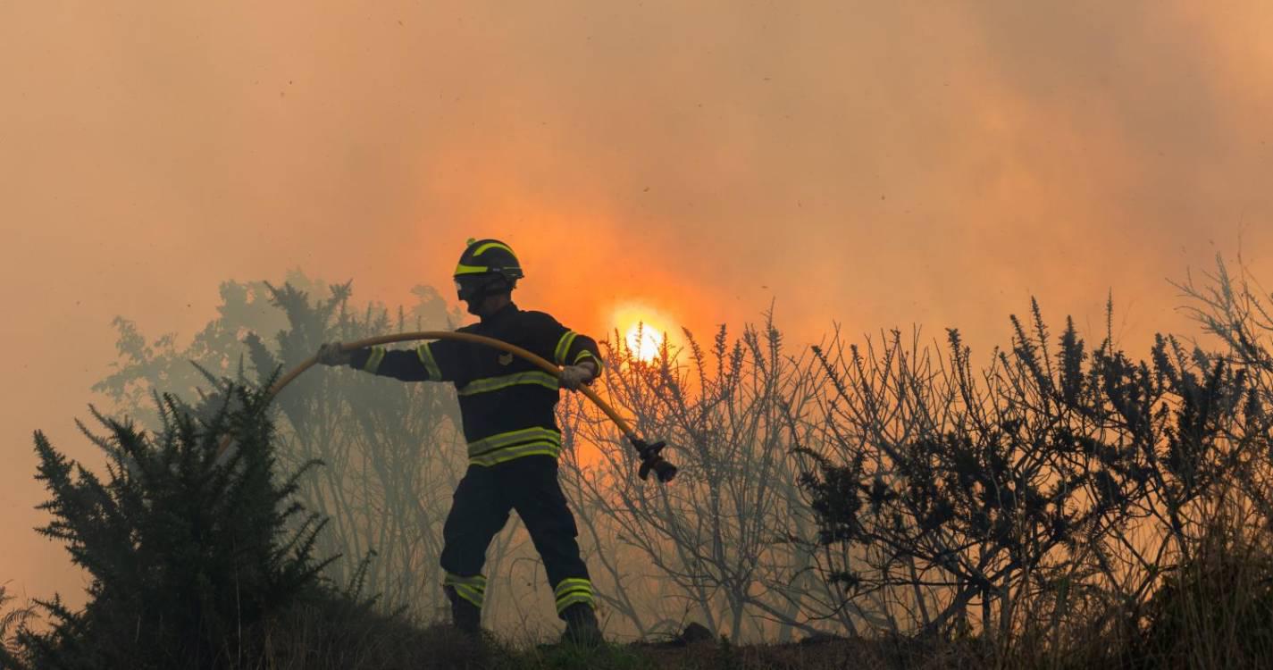 Mais de 280 operacionais combatem fogo no concelho de Pombal