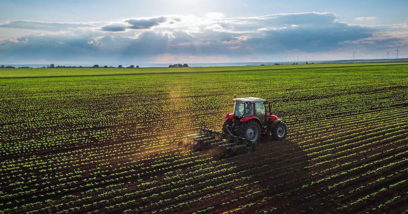 Europeias: Candidatos unidos na defesa de melhor apoio a agricultores