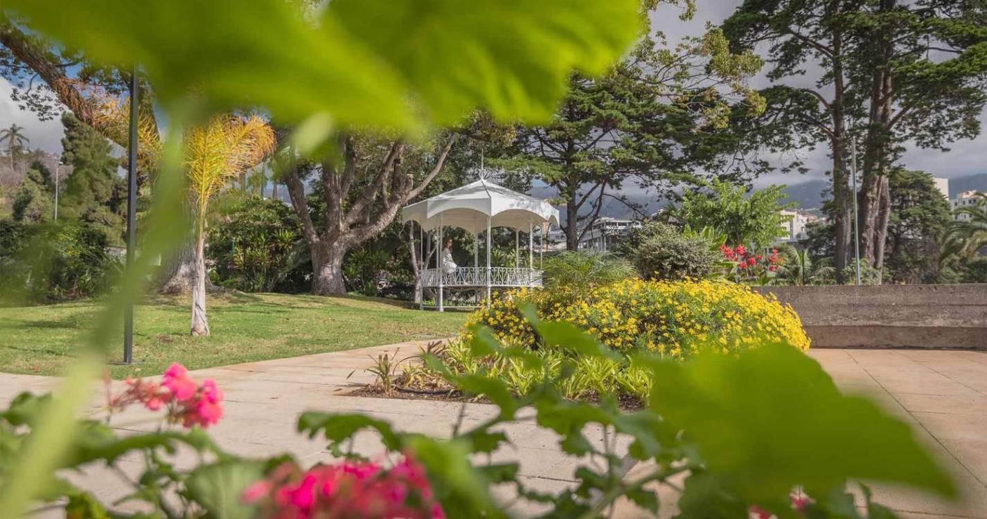 Casa do Voluntário promove “Piquenique Intergeracional” esta quinta-feira