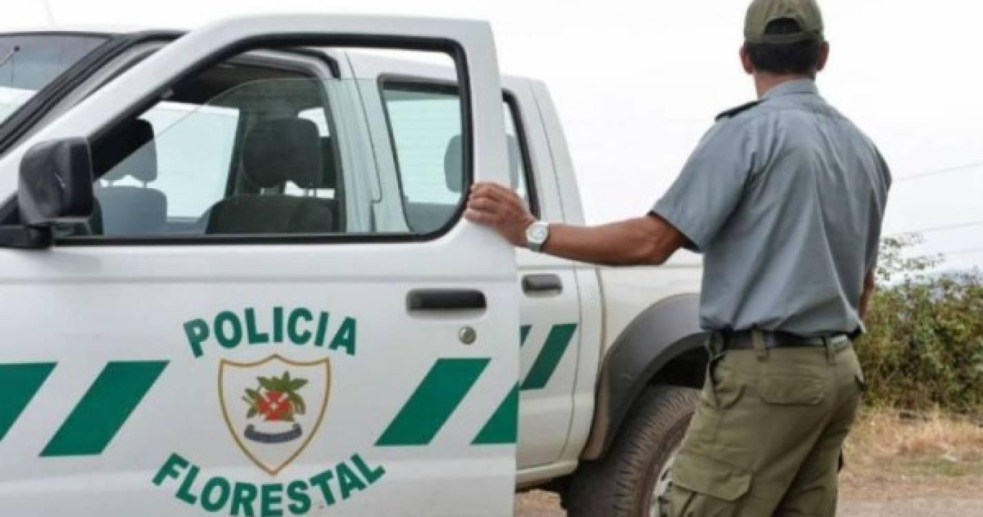 Polícia Florestal identifica autor de queimada ilegal na Calheta