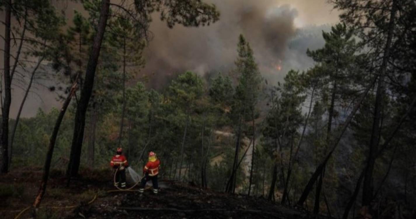 Seca, incêndios e subida da temperatura são os piores factos do ano para a Quercus