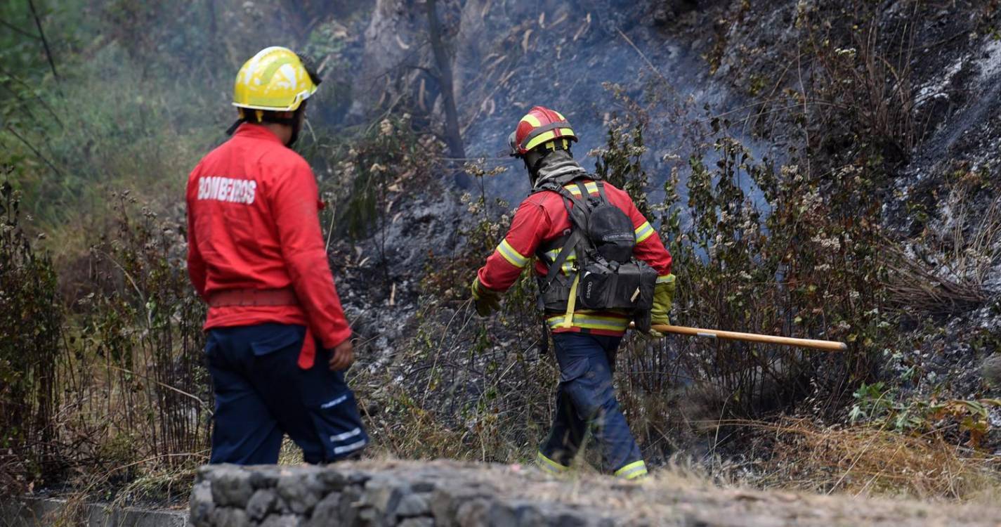 Incêndios: Municípios querem encurtar tempo e burocracia na limpeza de terrenos privados