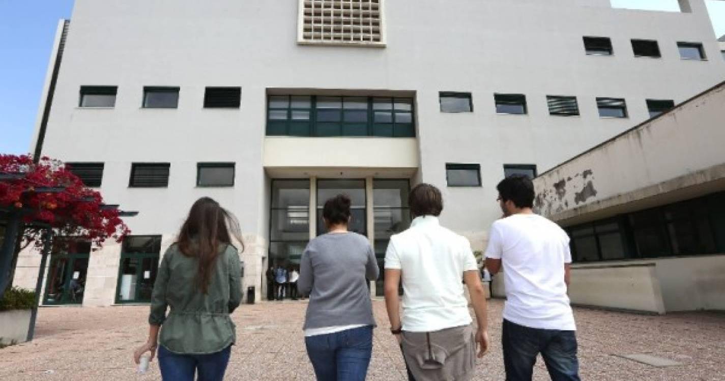 Mais de 80% dos jovens diplomados têm emprego 3 anos após concluírem estudos