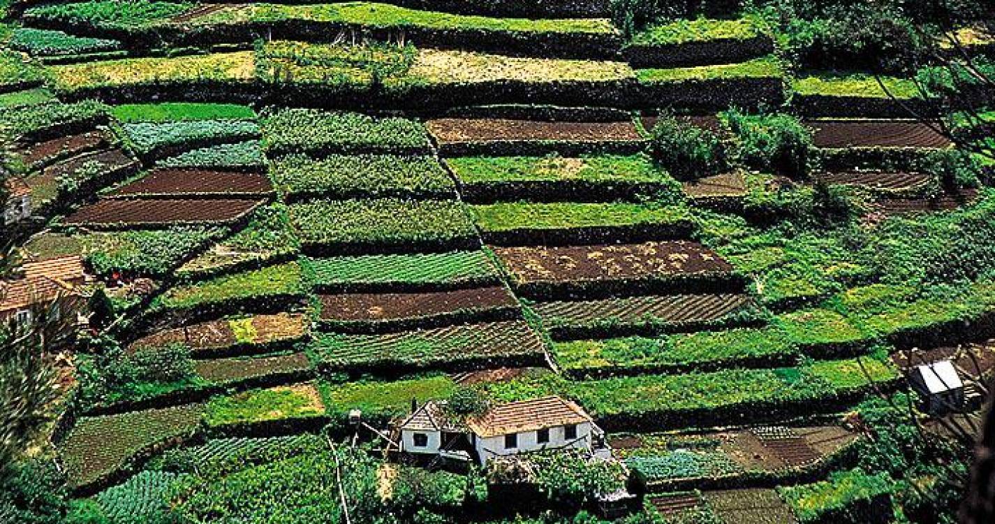 ‘Pedido Único’ ao agricultor pago até março